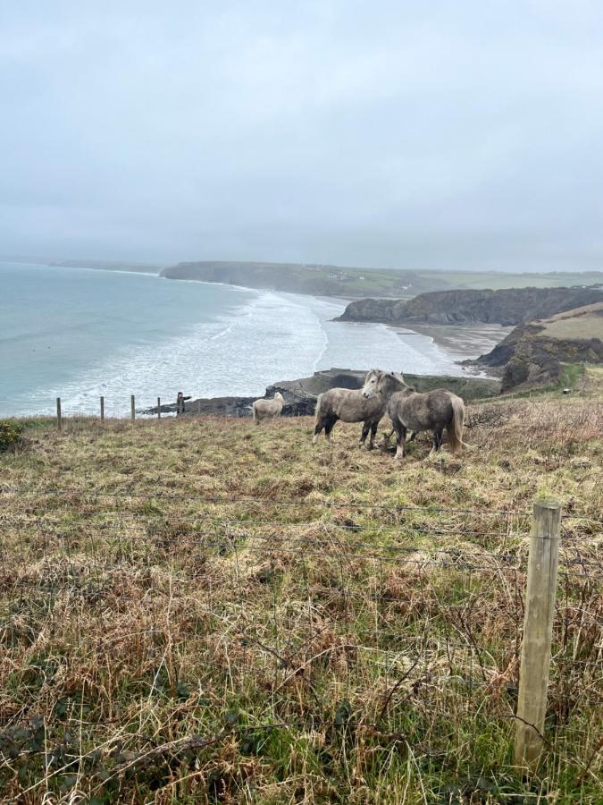 Appartamento Beaufighter Haverfordwest Esterno foto